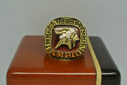 1973 Minnesota Vikings National Football Championship Ring